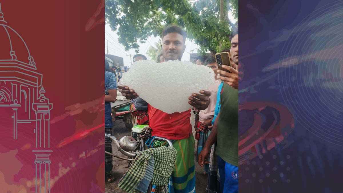 ঝিনাইদহে মাঠে পড়ে ছিল বিশাল এক শিলা খণ্ড