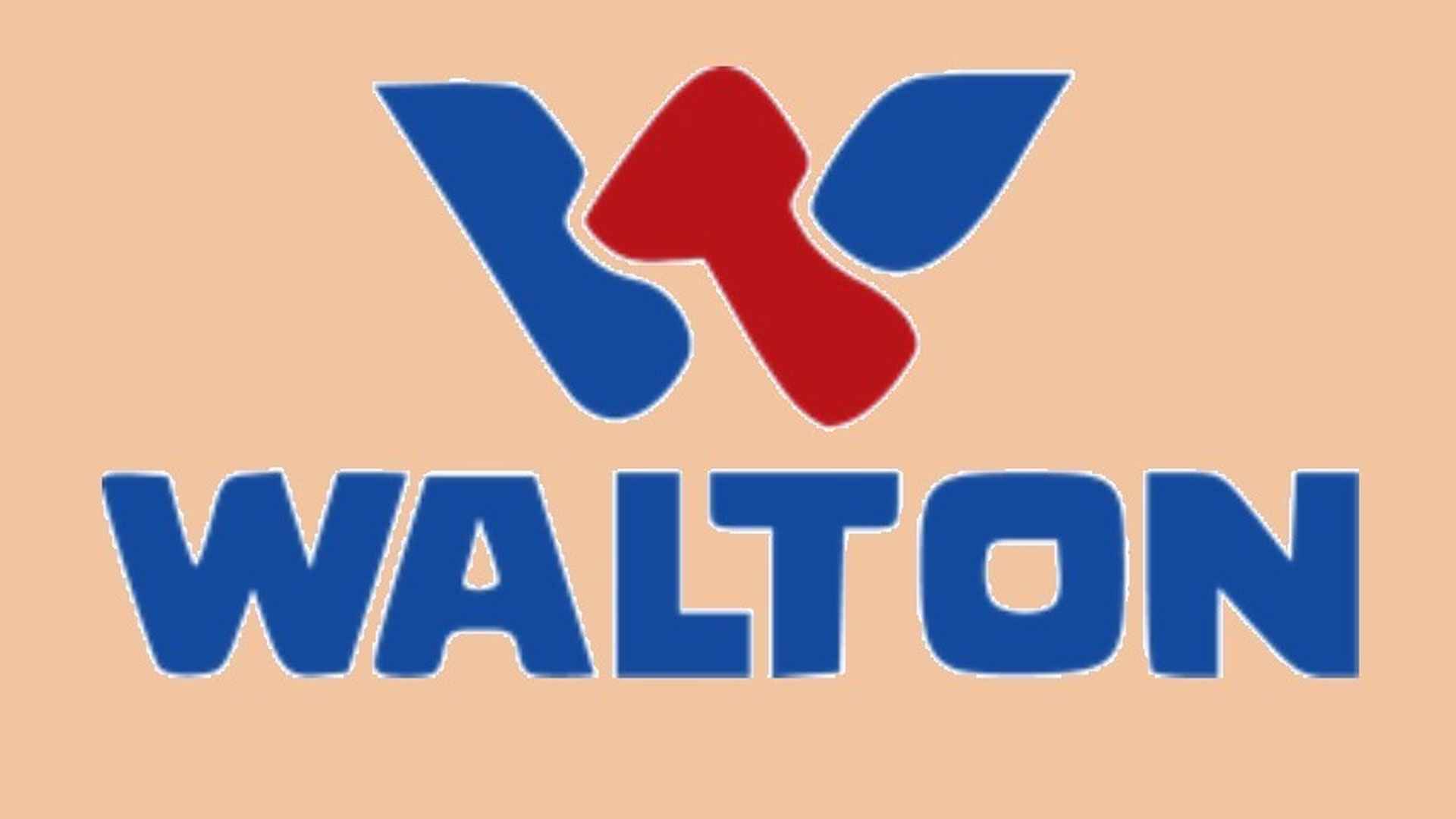 ৫০ জনকে চাকরি দেবে ওয়ালটন প্লাজা