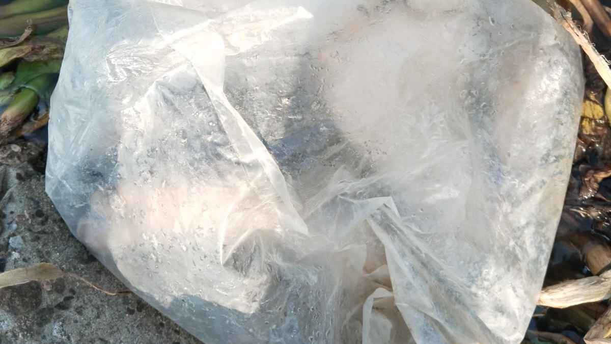 পলিব্যাগ খুলতেই মিলল মানুষের হাত-পা