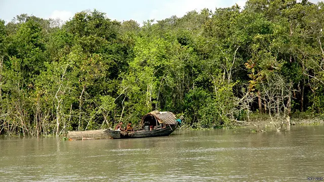 141005110310_bangla_sundarbans_640x360_brivos.jpg