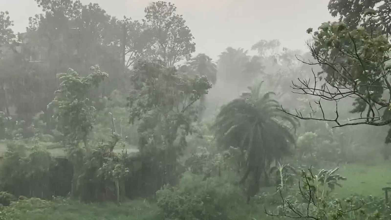 মাদারীপুরে হঠাৎ ঝড়ে জনজীবন বিপর্যস্ত