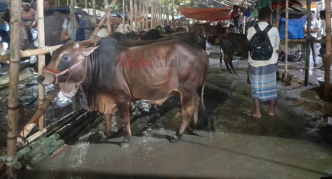 30