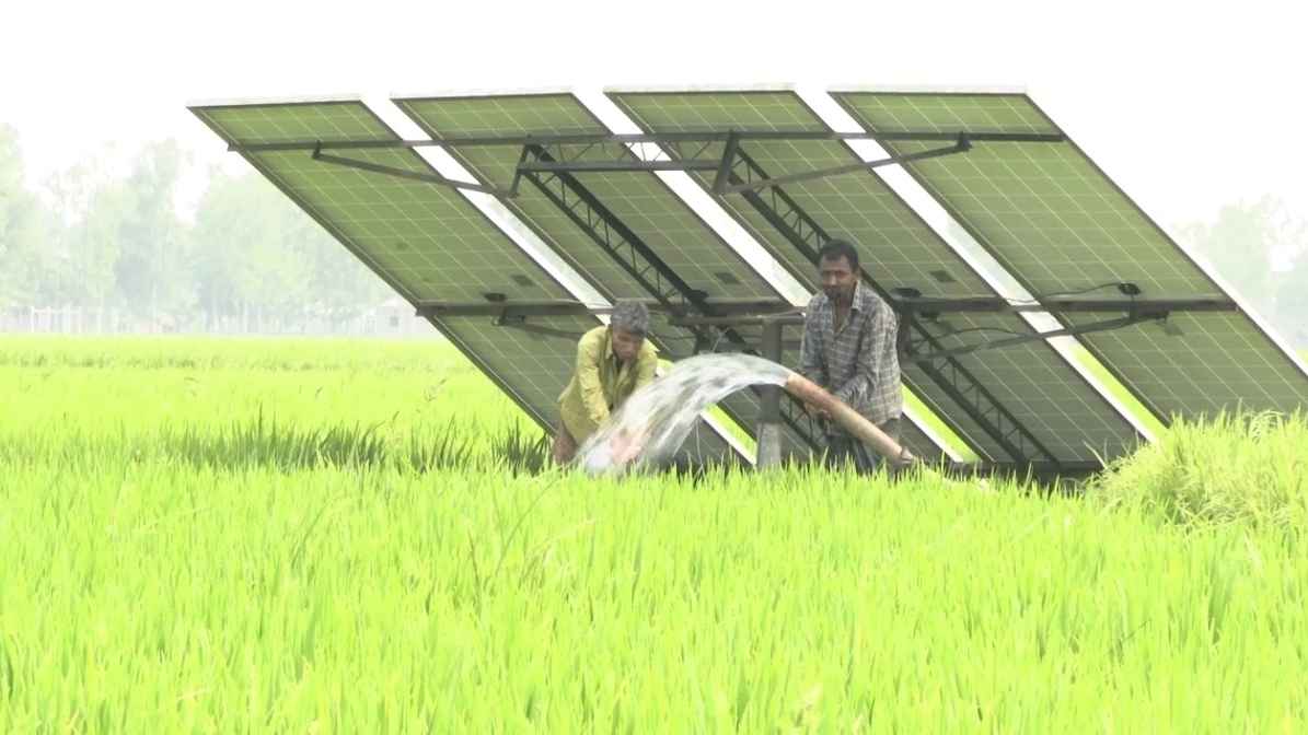 ঠাকুরগাঁওয়ে বাড়ছে সৌর সেচের চাহিদা, সাশ্রয় সাড়ে ৫ কোটি টাকা