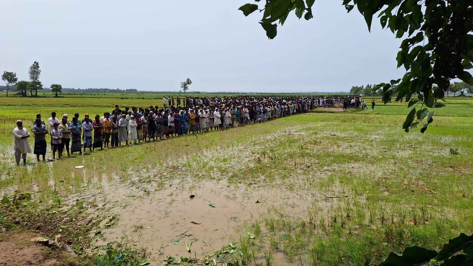 টাঙ্গাইলে নিহত ১৫: নওগাঁয় একসঙ্গে ৬ জনের জানাজা শেষে পাশাপাশি দাফন