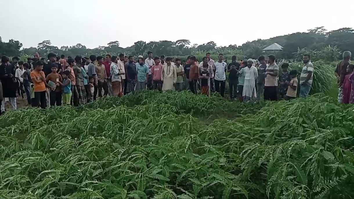 শরীয়তপুরে মাঠে ঘাস কাটতে গিয়ে বজ্রপাতে কৃষক নিহত