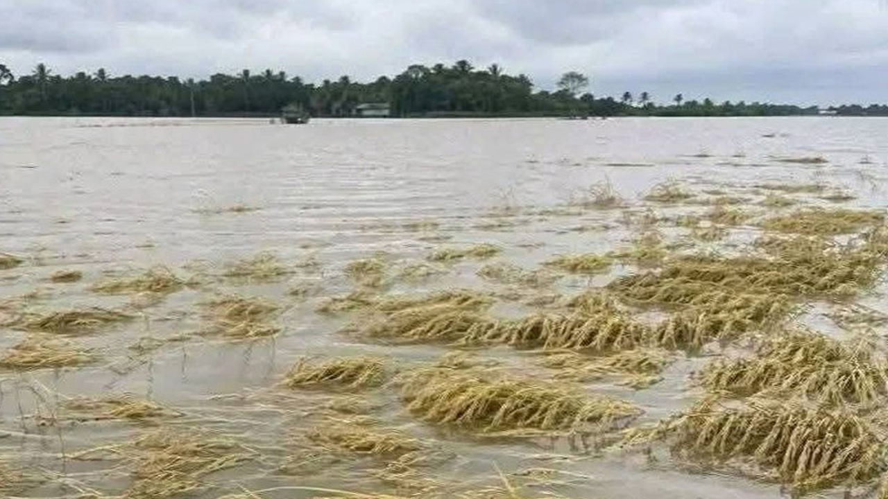 উত্তর-পূর্বে বন্যার শঙ্কা, ৭ নদীর পানি বিপৎসীমার ওপরে