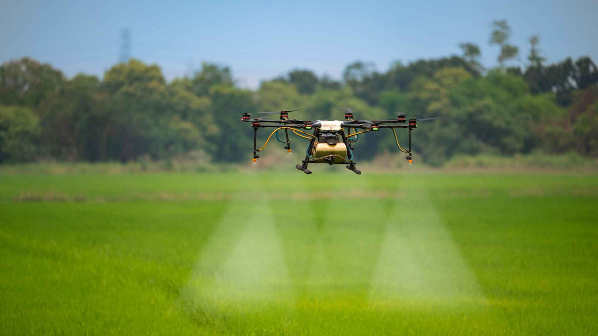 Agri Agri