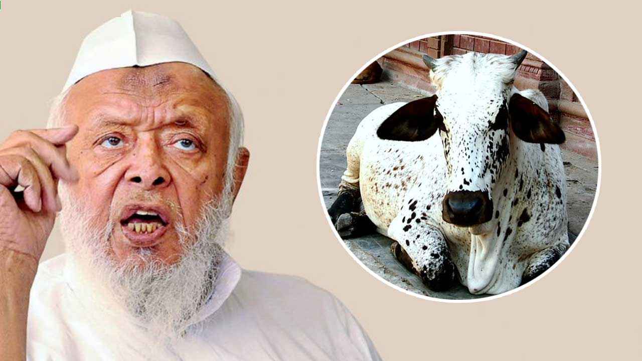 Arshad-Madani