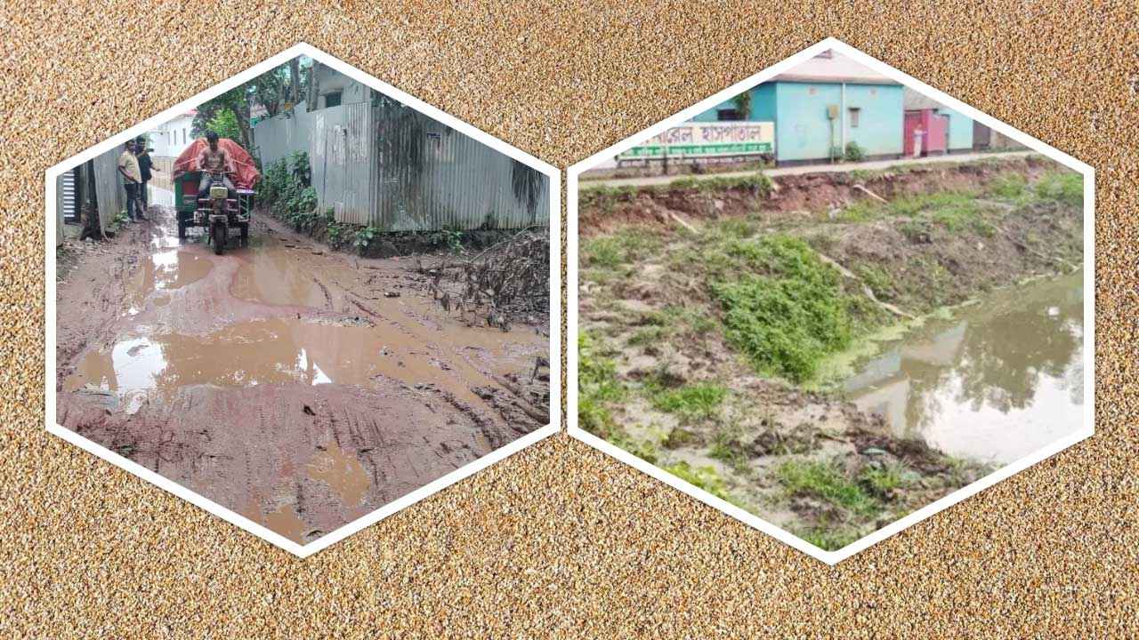 bbaria