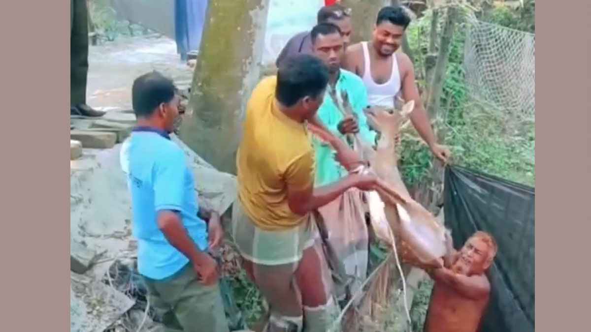 পাথরঘাটায় লোকালয় থেকে হরিণ উদ্ধার