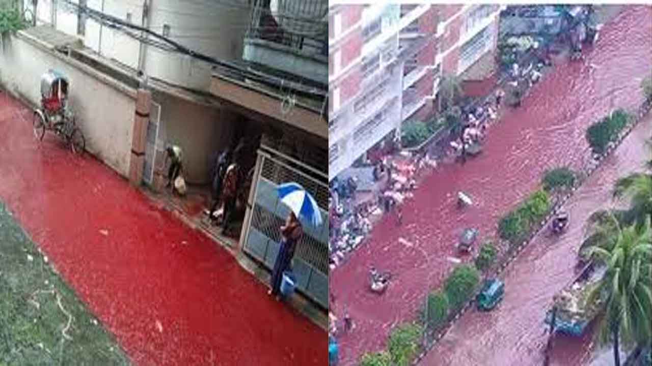 Blood-Flood-7 Blood-Flood-7