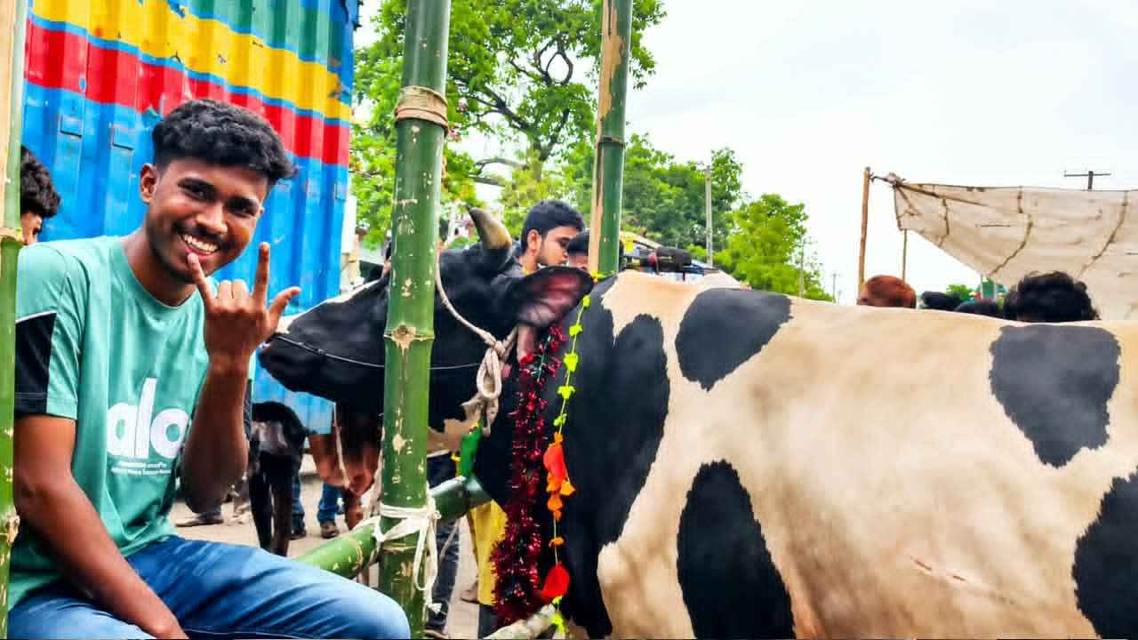 ‘গরুটি বড়ই চঞ্চল হওয়ায় নাম রেখেছি নাসীরুদ্দিন পাটওয়ারী’