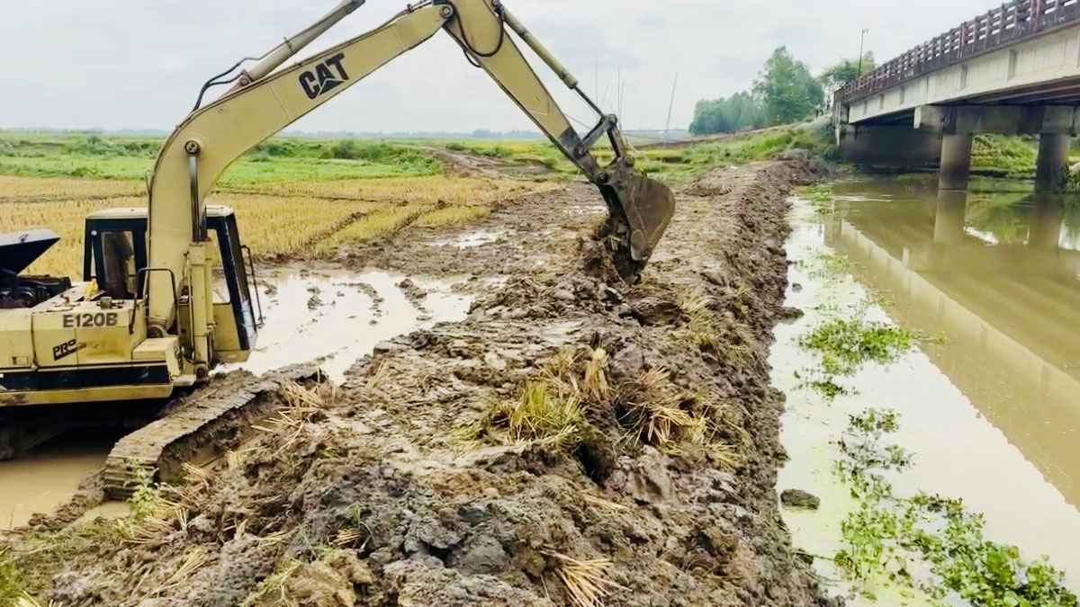 চলনবিলে ঢুকছে পানি: ২৬ হাজার হেক্টর জমির ধান নিয়ে শঙ্কায় কৃষক