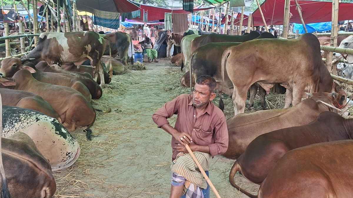 ‘ক্রেতা নেই’ তেজগাঁও হাটে, অলস সময় পার করছেন বেপারীরা