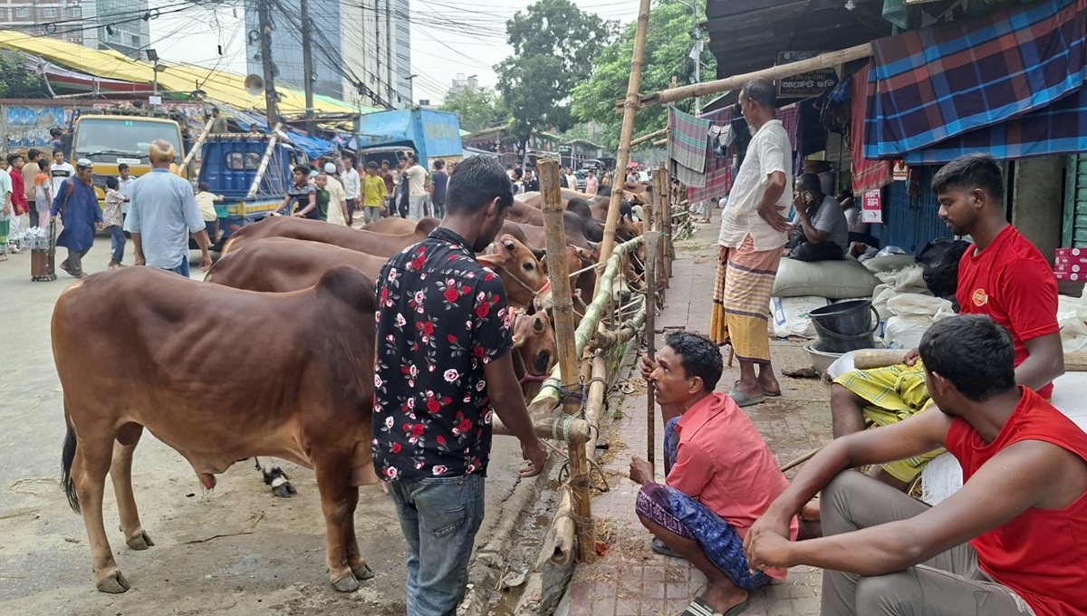 Dhaka-3