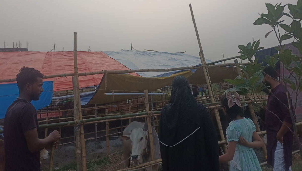 Dhaka-3