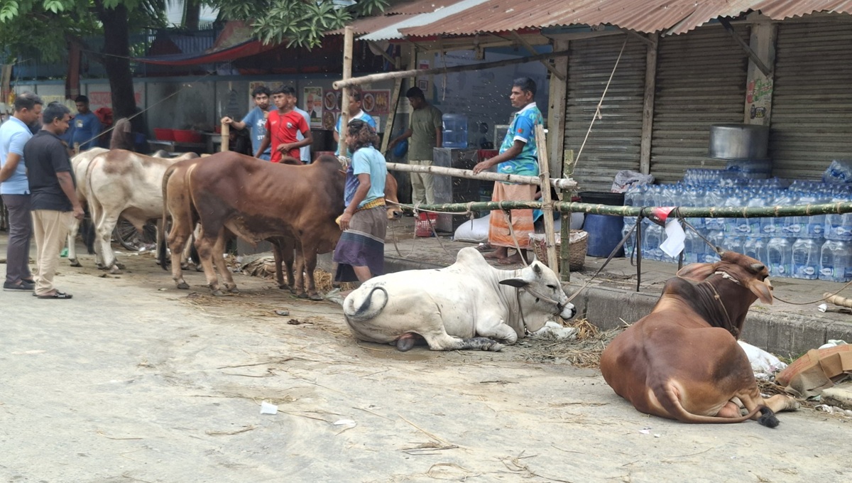 Dhaka-4