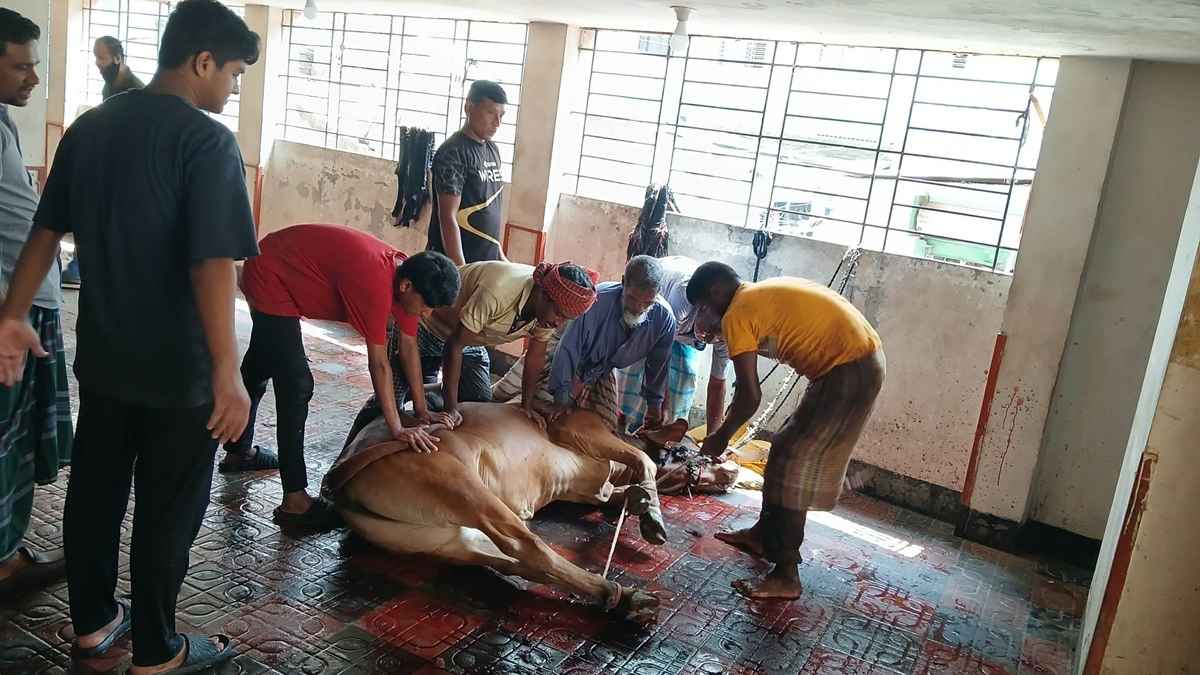 ঈদের দ্বিতীয় দিনেও রাজধানীজুড়ে চলছে পশু কোরবানি