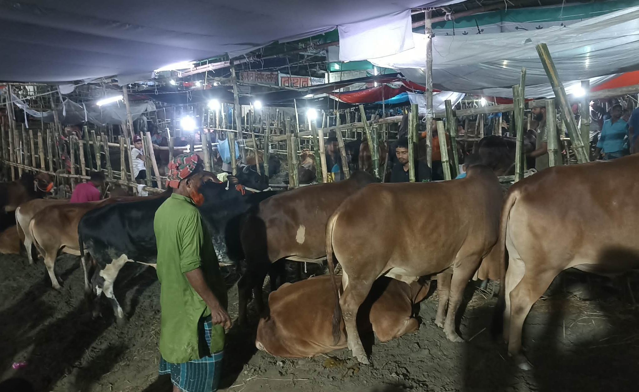 Eid Eid