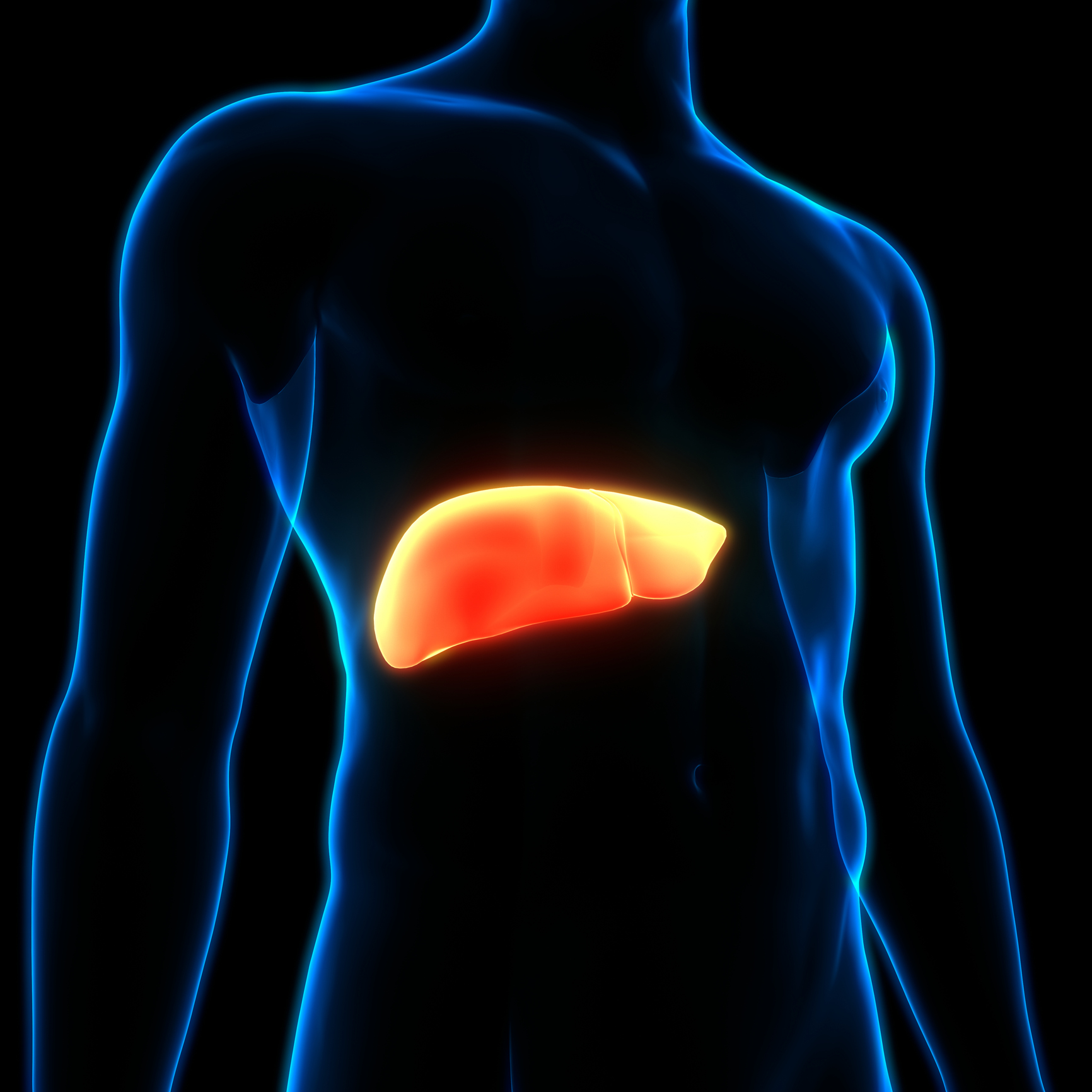 Fatty-Liver-Disease