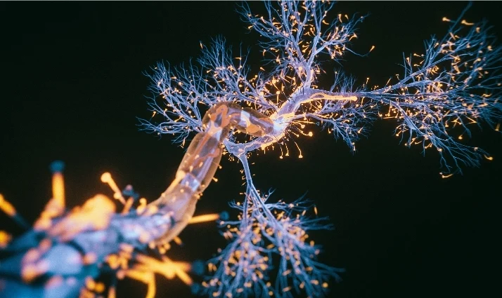 Neurology_1-1