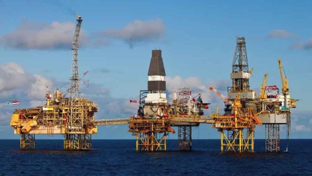 Oil
