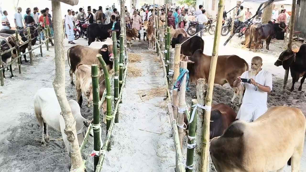 ক্রেতার ভিড়ে জমে উঠছে কোরবানির পশুর হাট