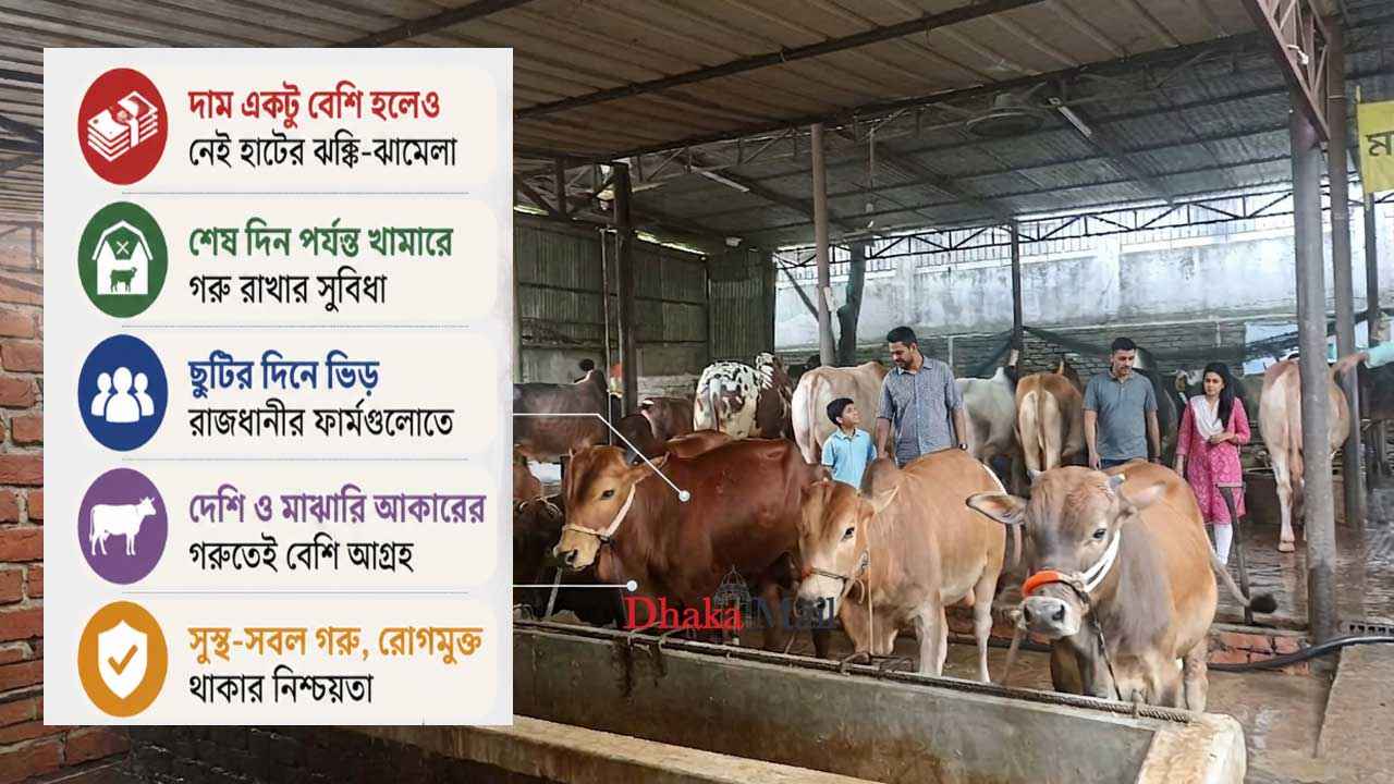 cow-farm
