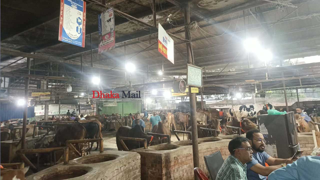 Qurbani2