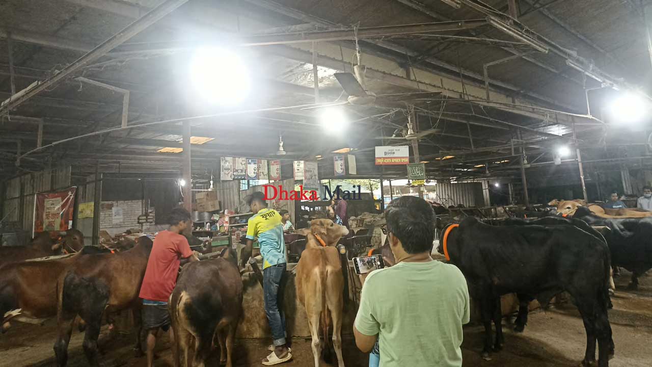 Qurbani3