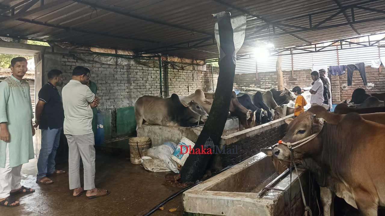 Qurbani5