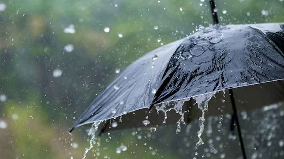 Rain