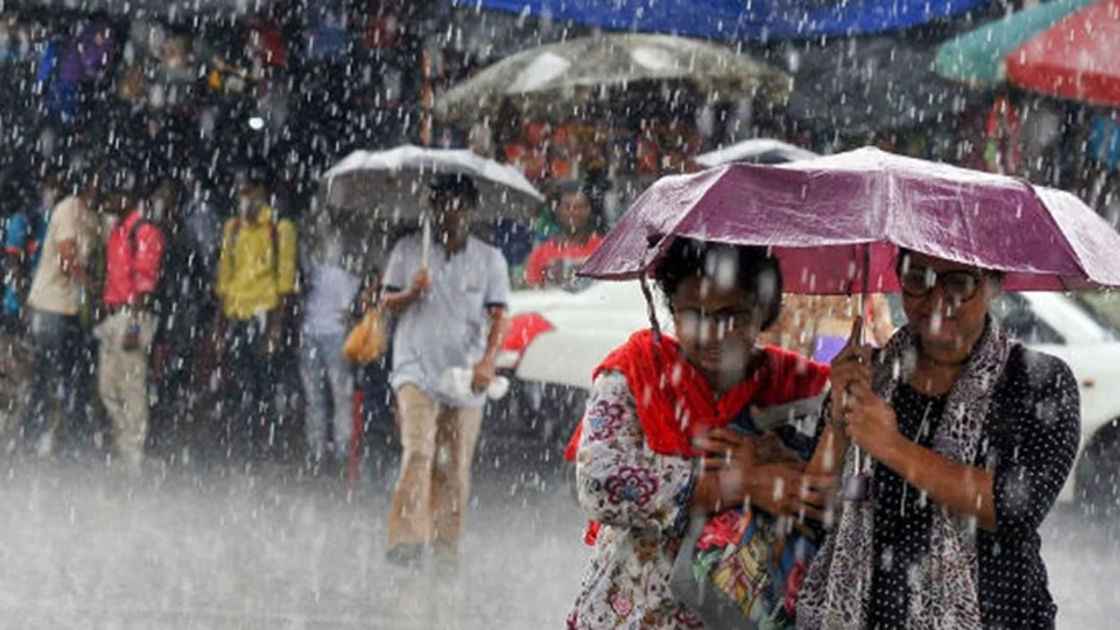 Rain