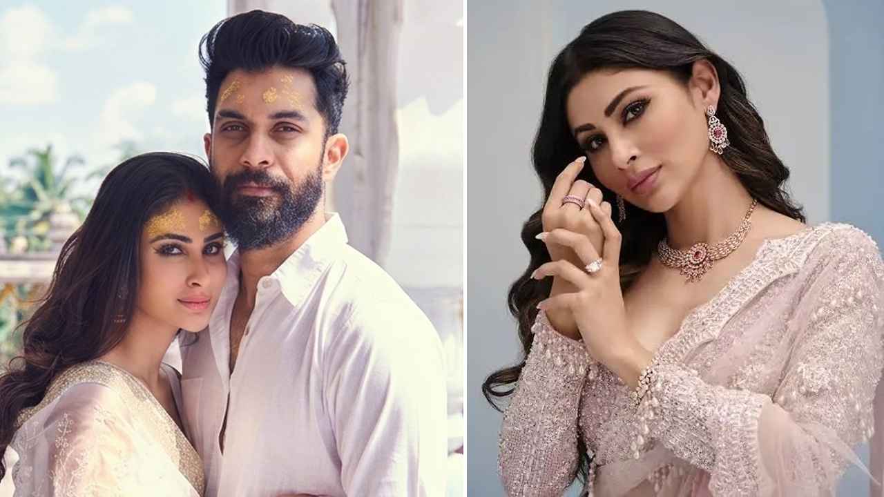 অবশেষে বিচ্ছেদের ঘোষণা দিলেন মৌনি রায়