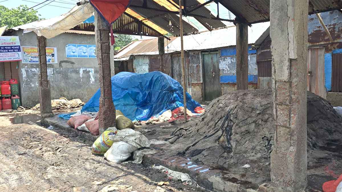 ‘মোটা-তাজা হচ্ছে তারা, আমরা কমদামে বিক্রি করি তাও বাকি-বক্কা’