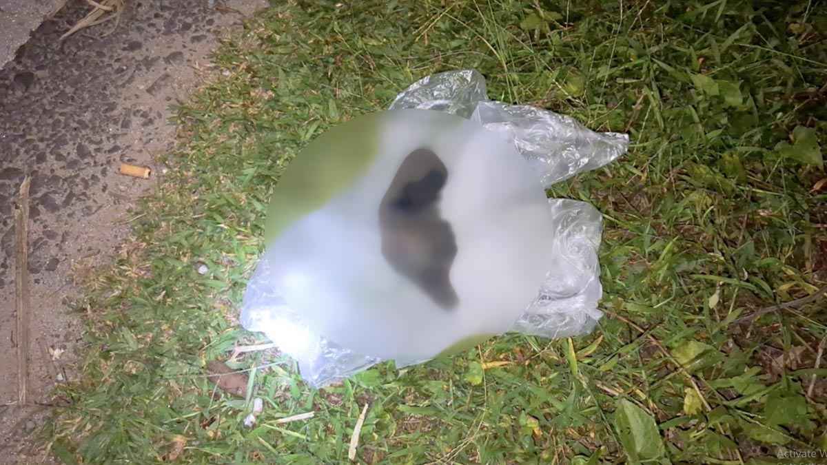 ঠাকুরগাঁওয়ে সড়কের পাশ থেকে রিভলভার উদ্ধার