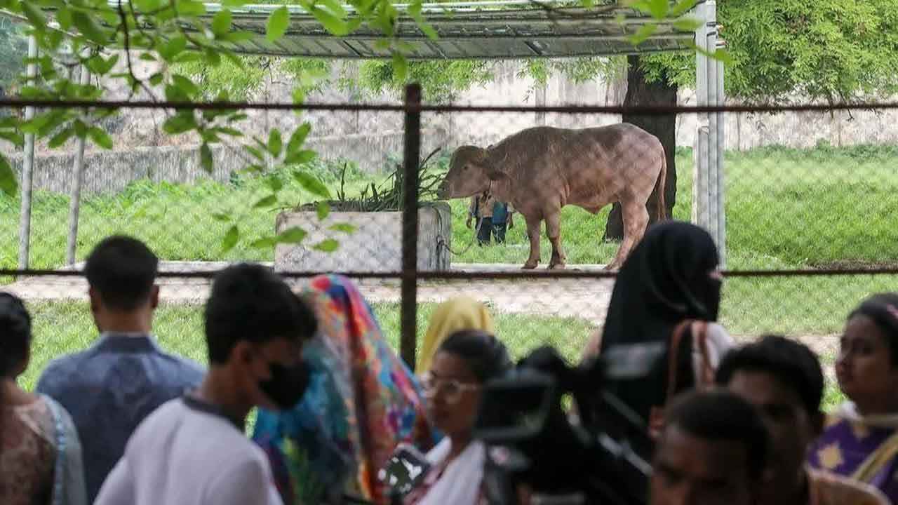 ছুটির শেষ দিনেও চিড়িয়াখানায় আকর্ষণের কেন্দ্র ‘ডোনাল্ড ট্রাম্প’