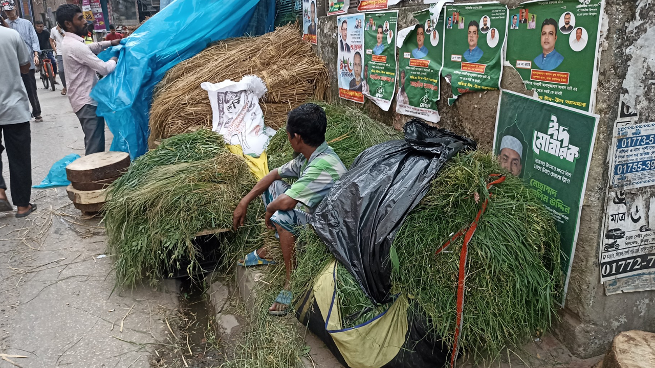 রাজধানীতে এখন শাকের দামে বিক্রি হচ্ছে ঘাস
