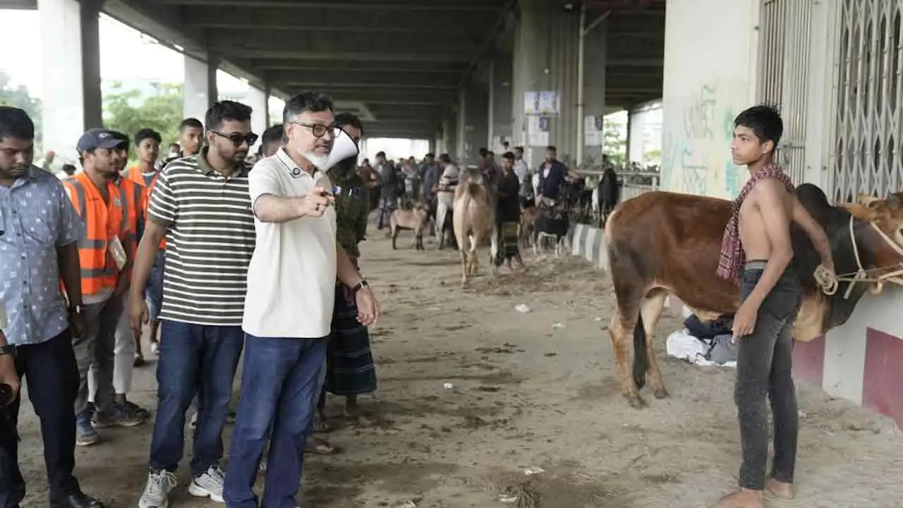 মেট্রোরেল স্টেশনের নিচে বসা পশুর হাট সরালো ডিএমপি