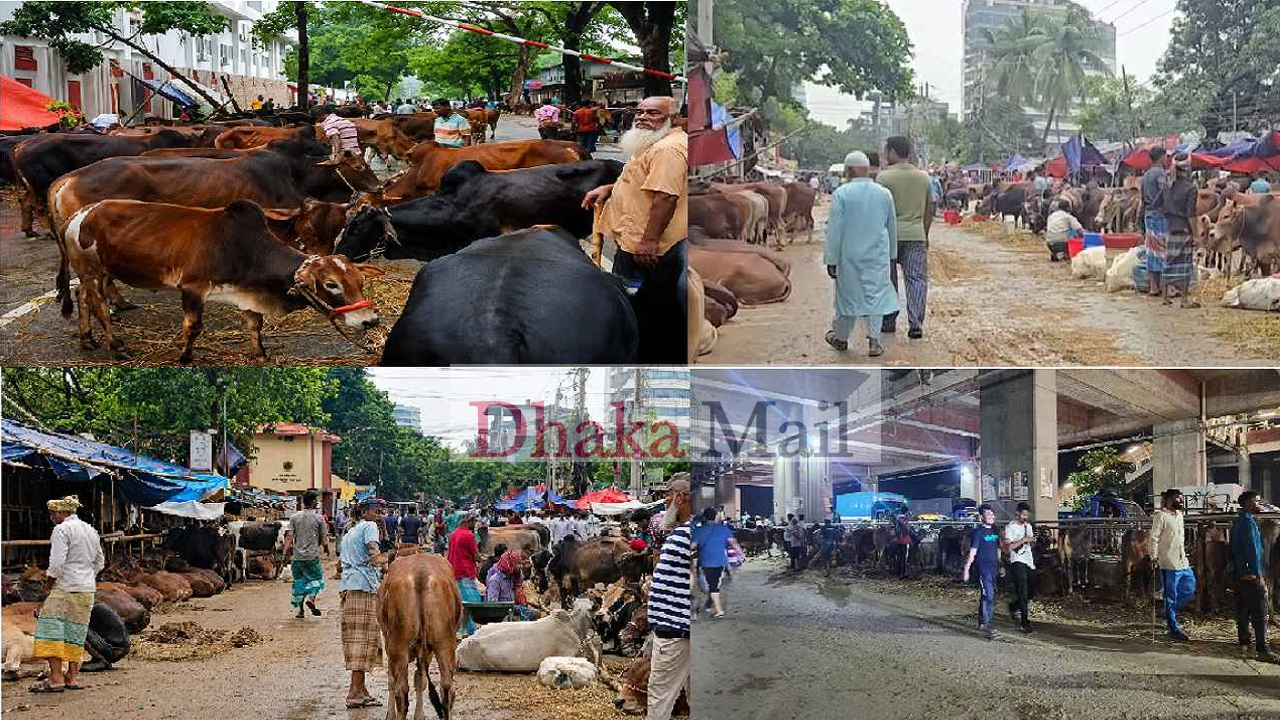 হাটের সীমানা মানছেন না ঢাকার ইজারাদাররা, নির্বিকার সিটি করপোরেশন