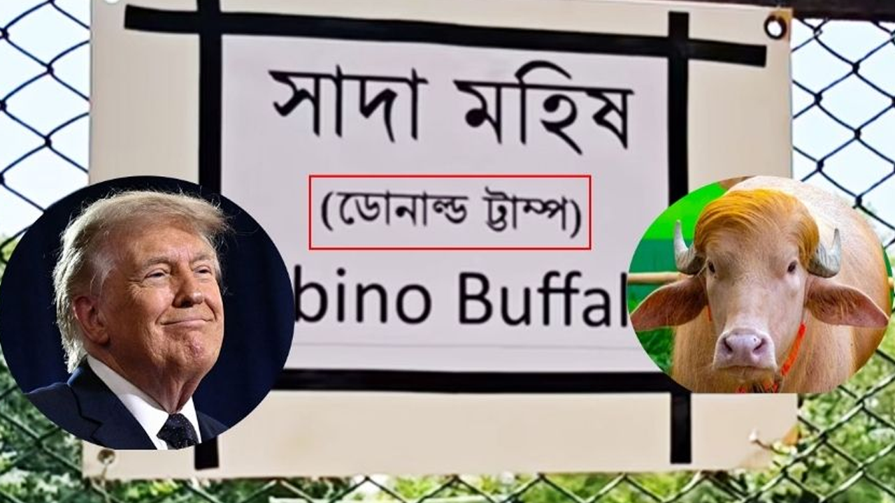 এবার চিড়িয়াখানায় ট্রাম্পের ভুল বানানের স্টিকার ভাইরাল!
