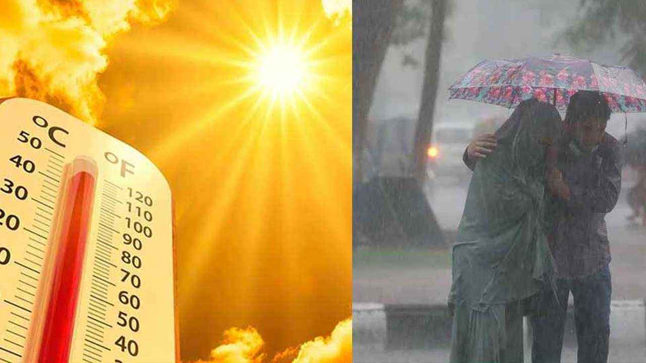 Rain
