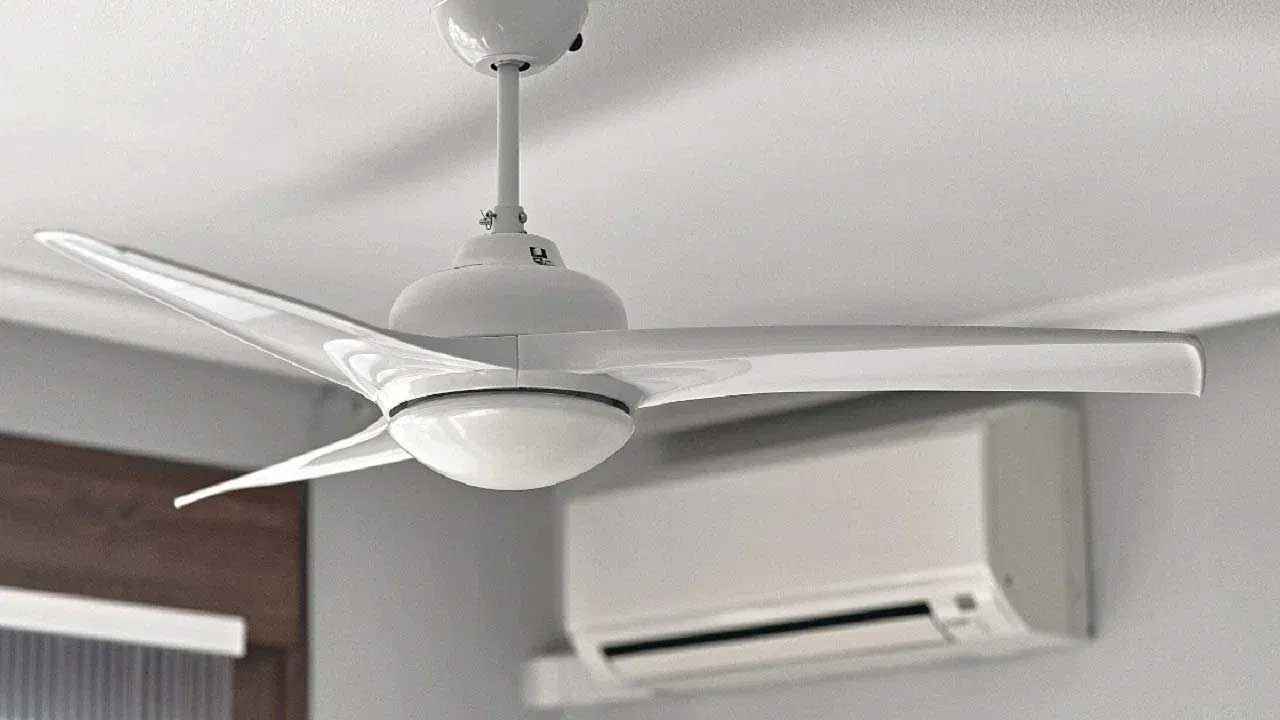 ac-fan_20240426_160204543