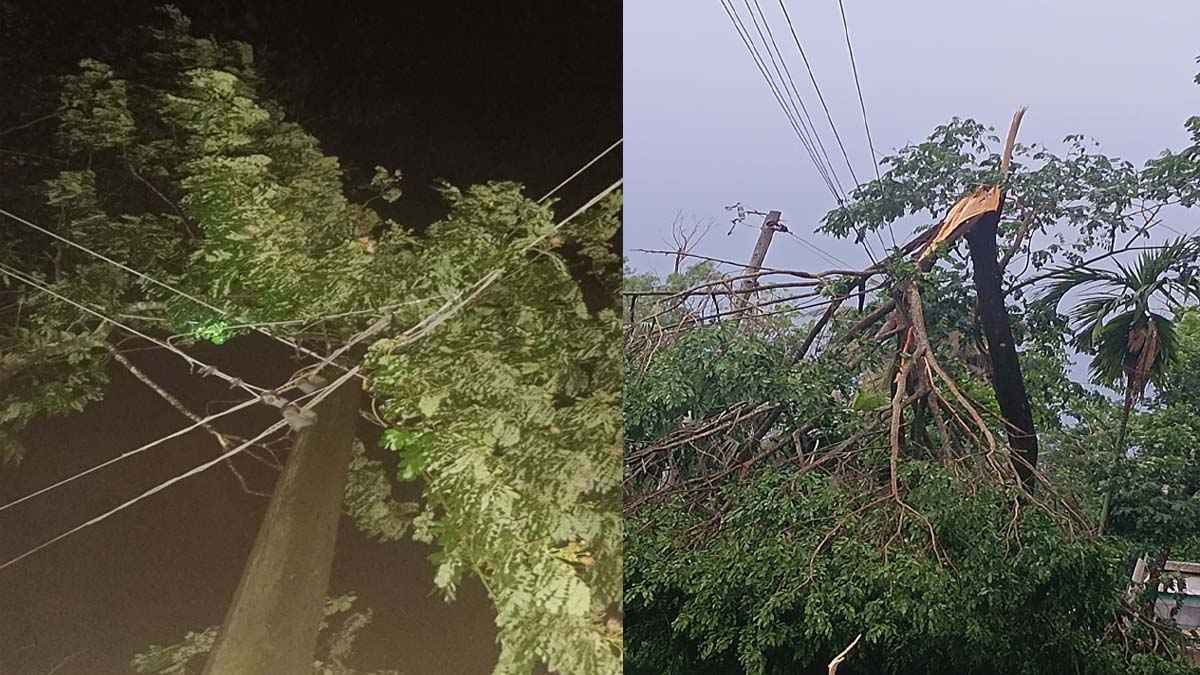 মিরসরাইয়ে কালবৈশাখী ঝড়ে বিদ্যুৎ বিচ্ছিন্ন, ২০ হাজার গ্রাহক অন্ধকারে