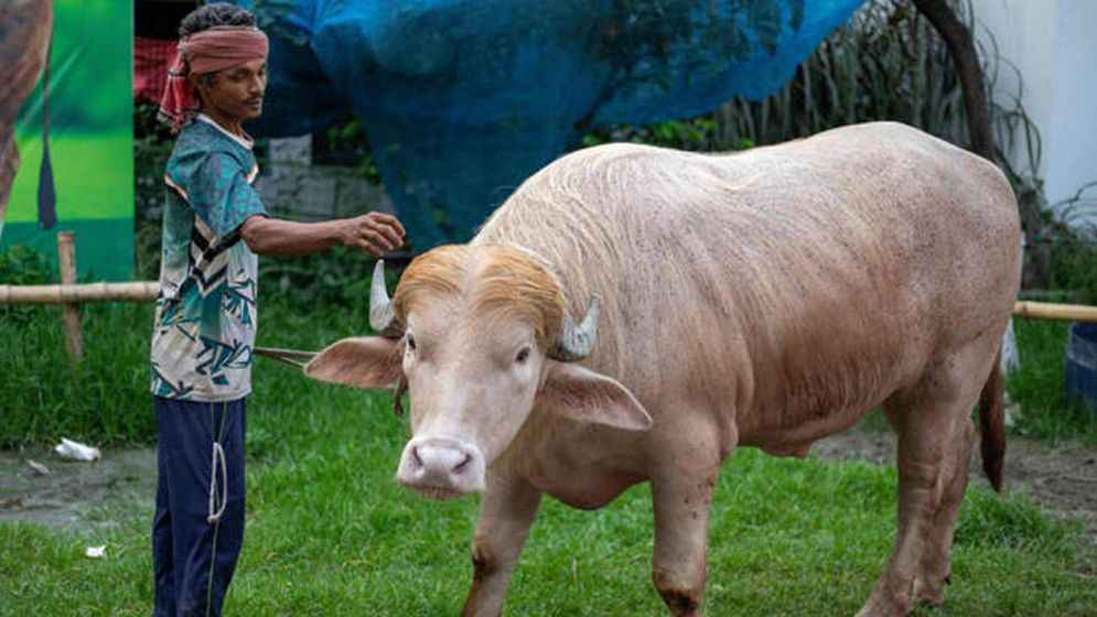 নারায়ণগঞ্জের সেই ‘ডোনাল্ড ট্রাম্প’ আন্তর্জাতিক গণমাধ্যমে