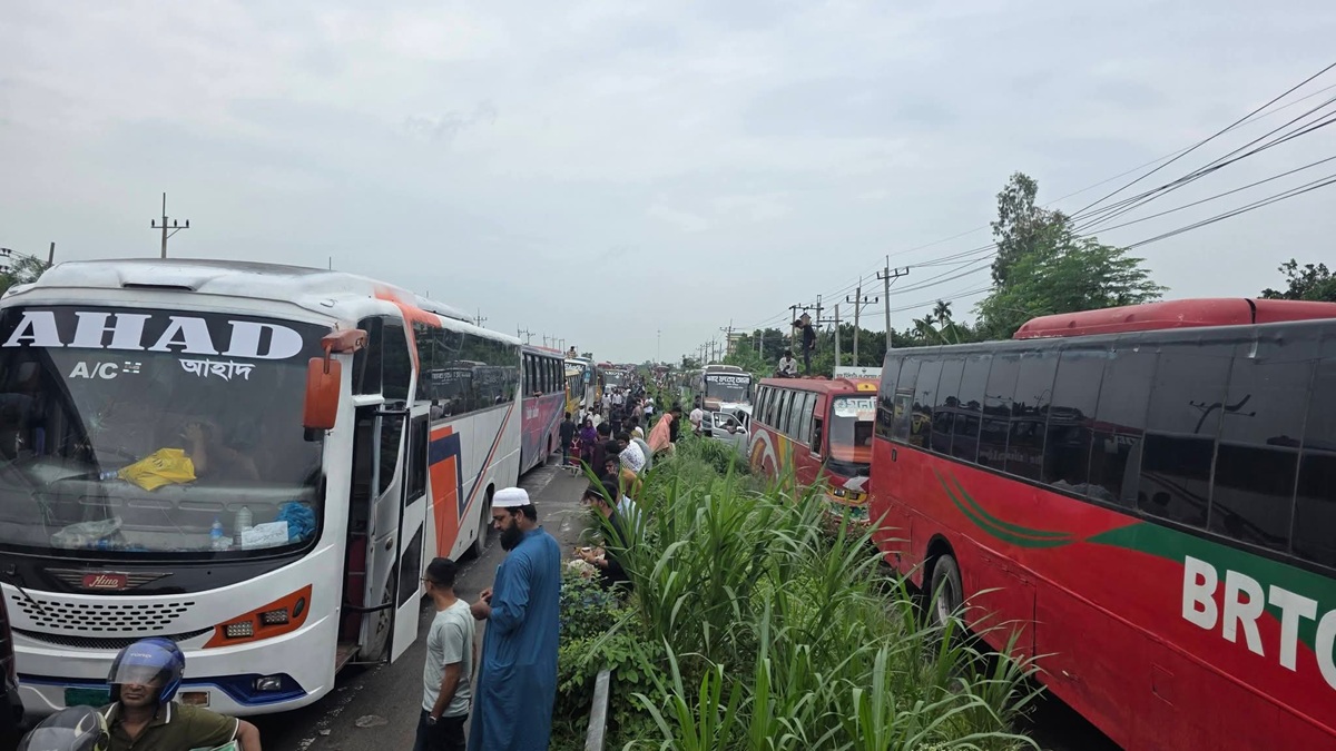 bulbul_mp-2
