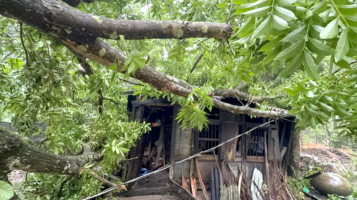 chadpur-2