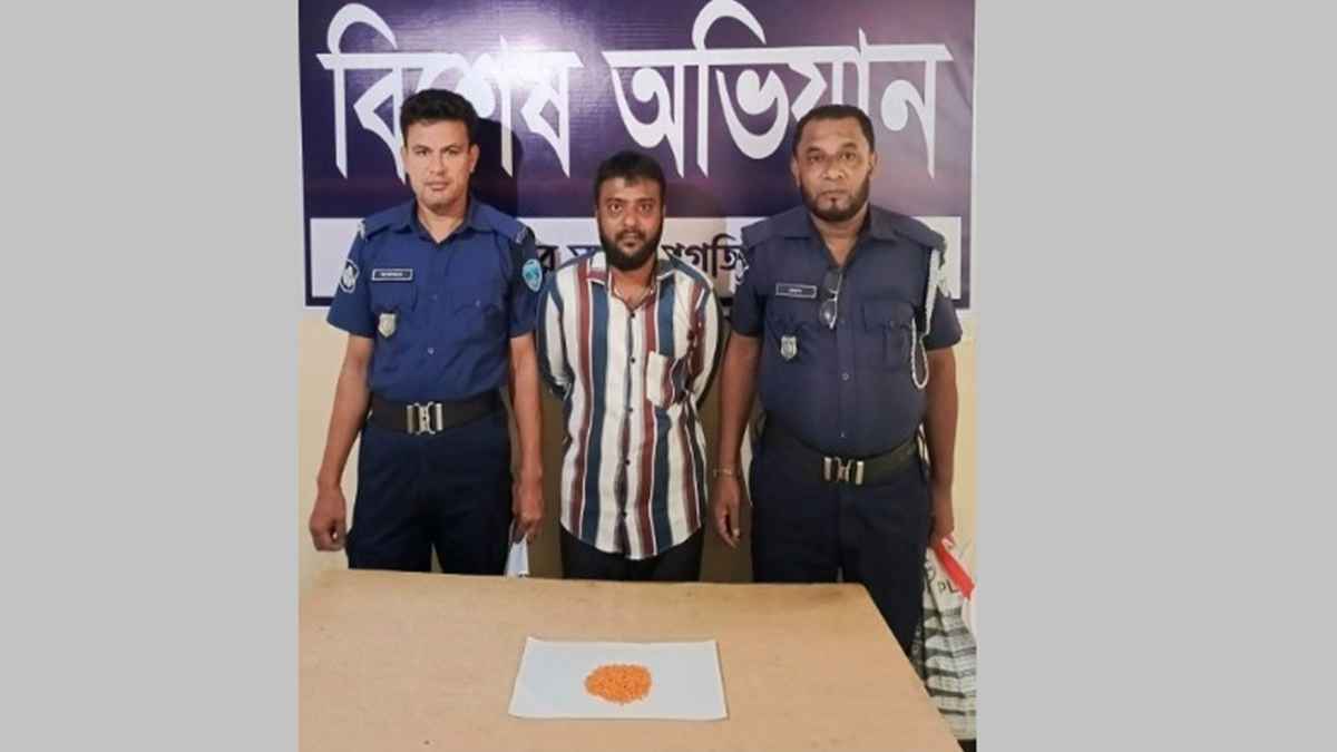 ঢাকাগামী বাসে অভিযান, ইয়াবাসহ ধরা মাদক কারবারি