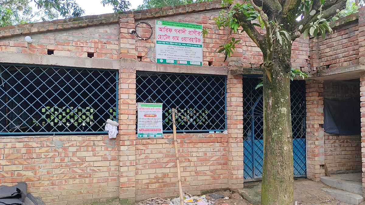 গরুর জন্য ‘আবাসিক হোটেল’: বুফে খাওয়াসহ মিলছে আধুনিক সেবা!