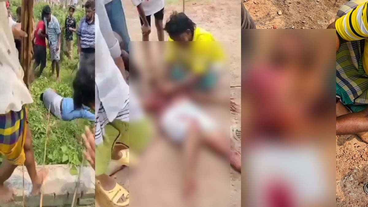 মুন্সিগঞ্জে গরুর হাট ইজারা ও আধিপত্য নিয়ে সংঘর্ষ, ৩ জন টেটাবিদ্ধ
